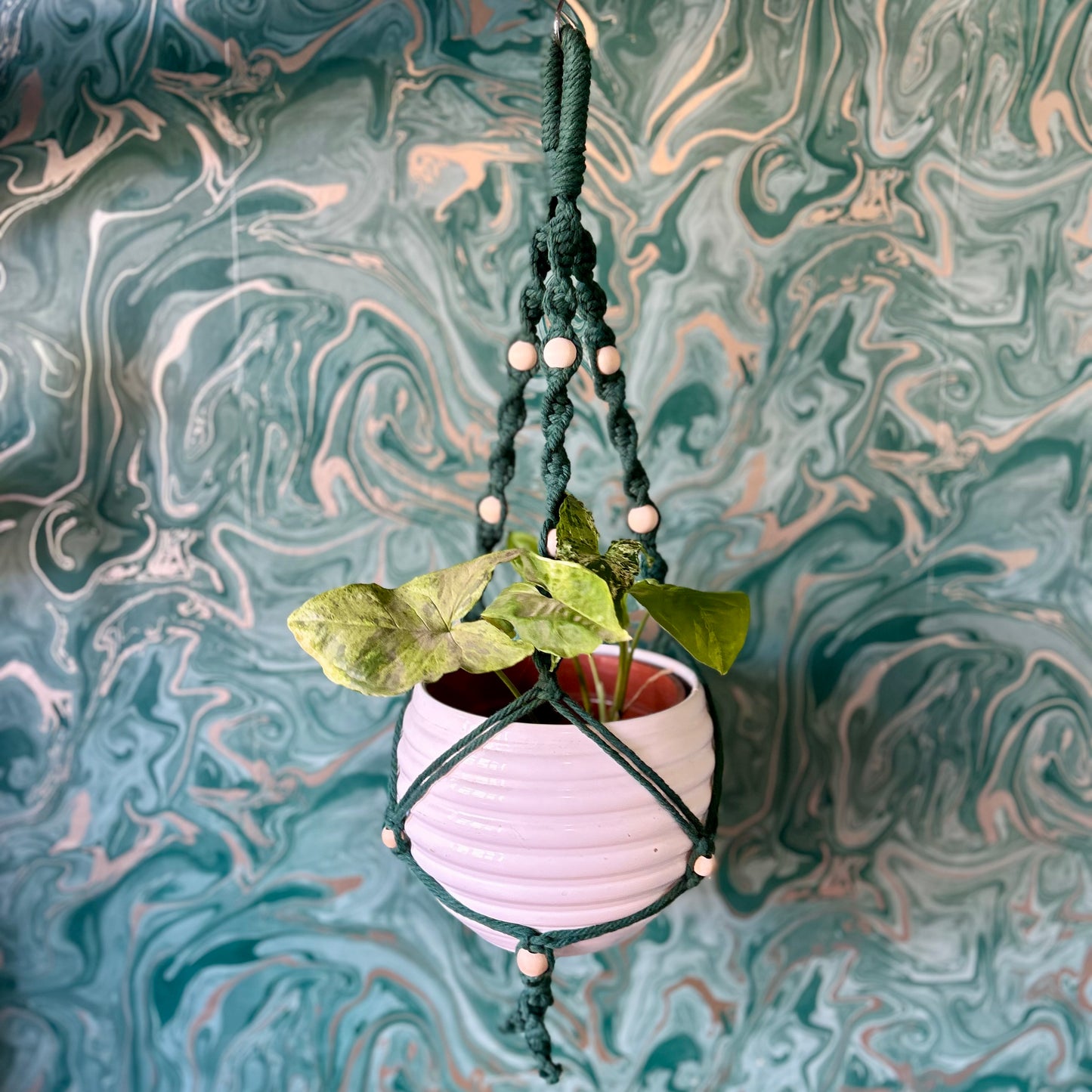 Beaded Plant Hanger