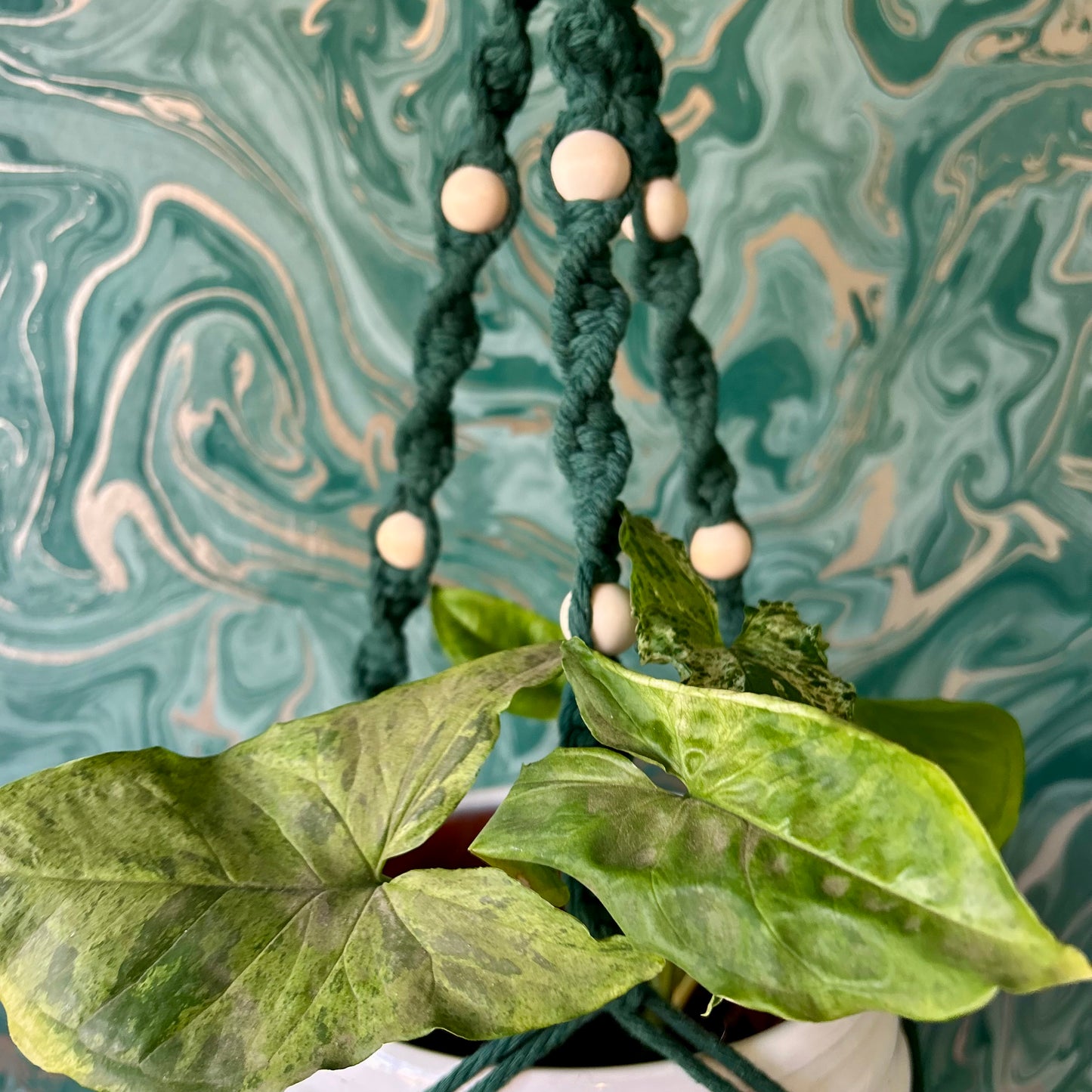 Beaded Plant Hanger
